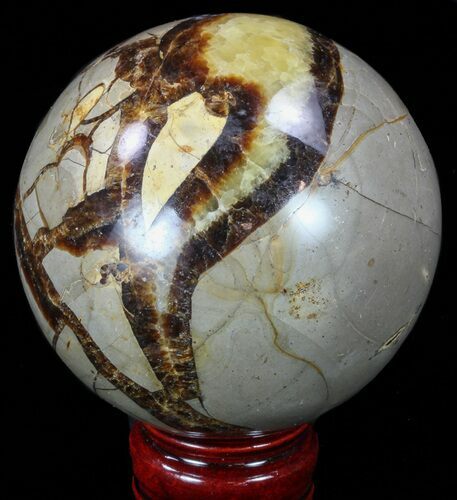 Polished Septarian Sphere - With Stand #43863